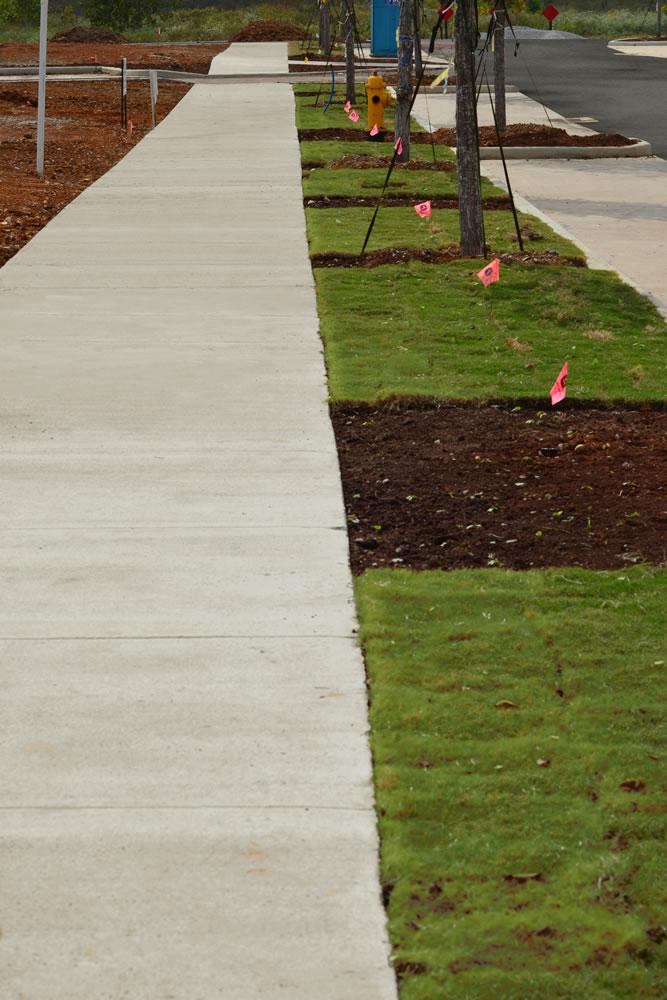 LENDON Sidewalks now lined with lush green sod.