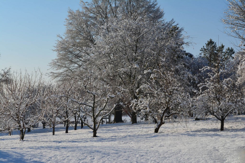 10. Jones Valley Snow_med.0200