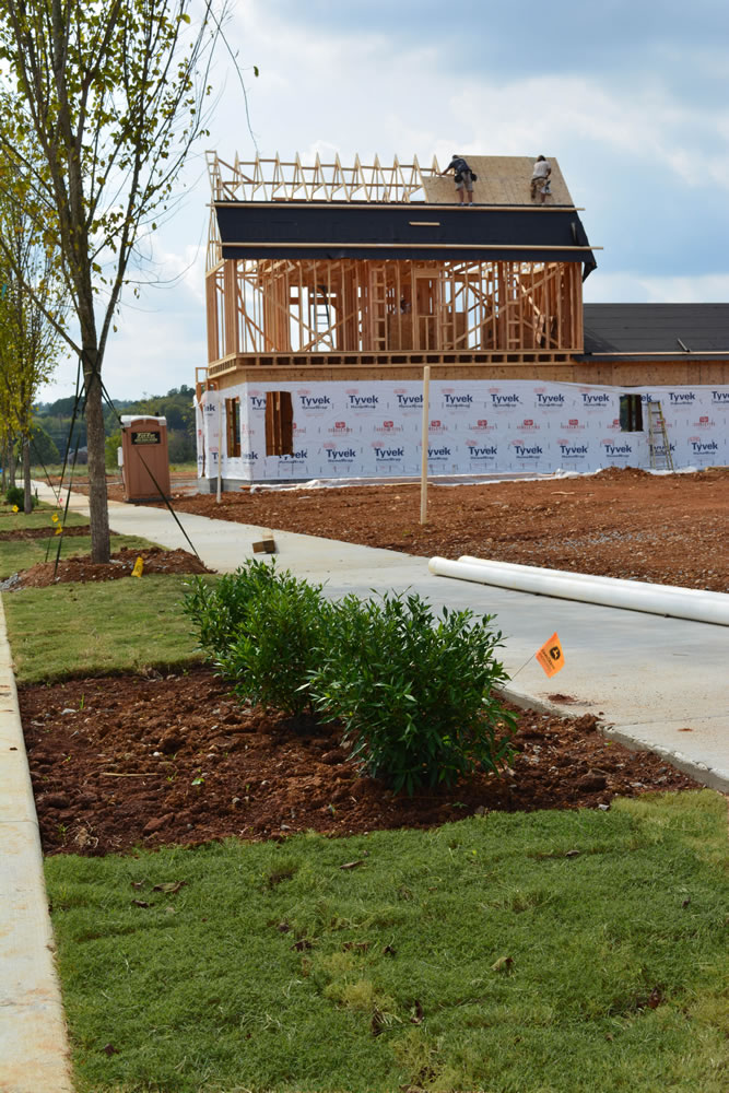 The Trees, Grass, and Bushes welcome New Homes and families to LENDON